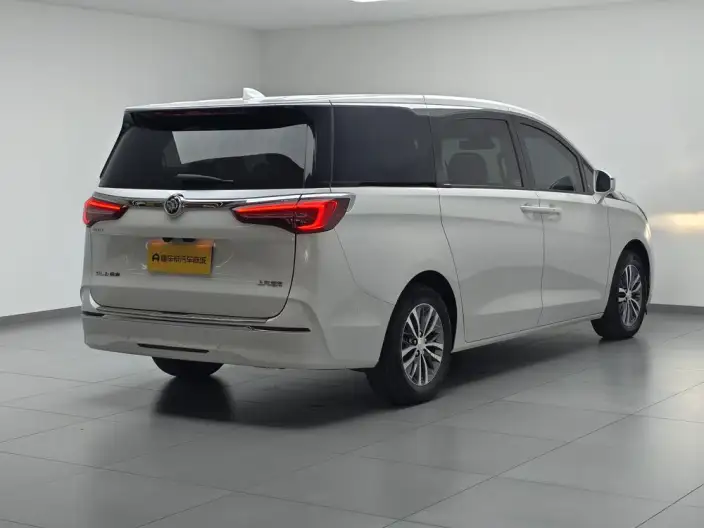 Buick GL8 2021 Model ES Luzun 653T Exclusive Model – фото 7