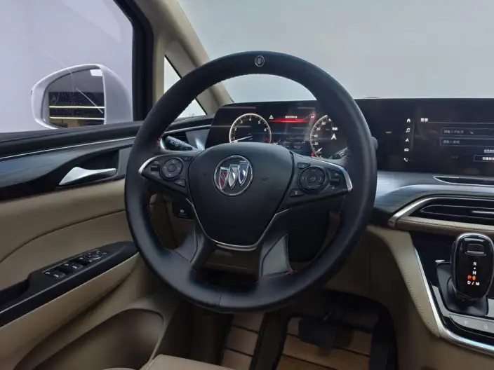 Buick GL8 2021 Model ES Luzun 653T Exclusive Model – фото 16