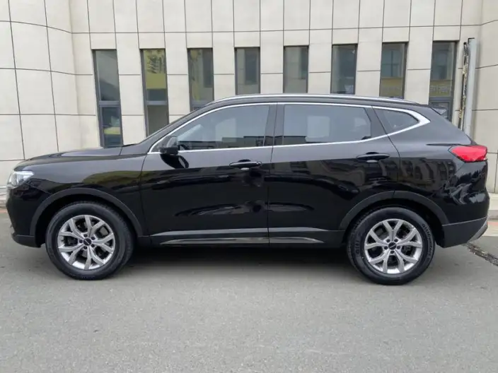Haval H6 2021 Model Guo Trendy Edition 1.5T Automatic Champion Edition – фото 4