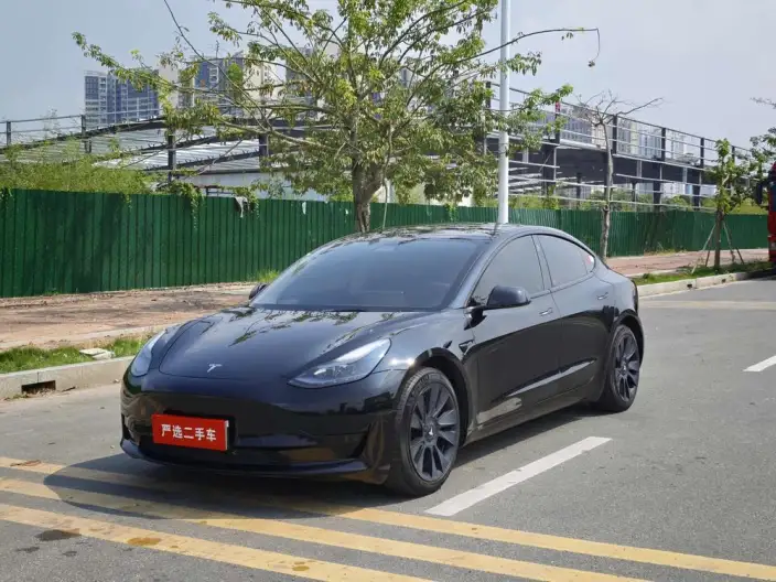 Model 3 2022 Model Rear-wheel drive version – фото 1