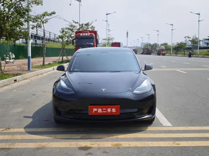Model 3 2022 Model Rear-wheel drive version – фото 2