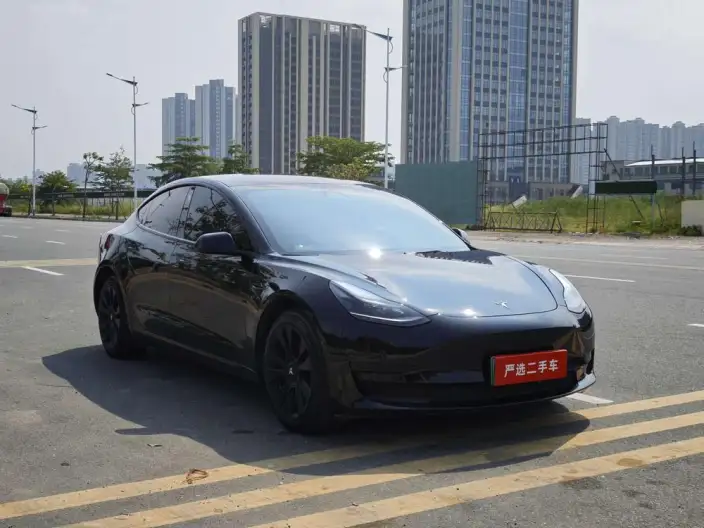 Model 3 2022 Model Rear-wheel drive version – фото 3