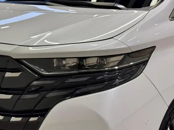 Elfa 2023 Model 2.5L Intelligent Hybrid 4WD Premium Edition – фото 9