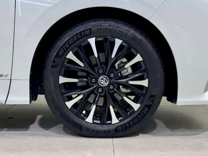 Elfa 2023 Model 2.5L Intelligent Hybrid 4WD Premium Edition – фото 11