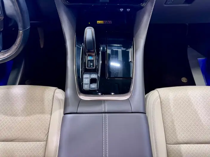 Elfa 2023 Model 2.5L Intelligent Hybrid 4WD Premium Edition – фото 20