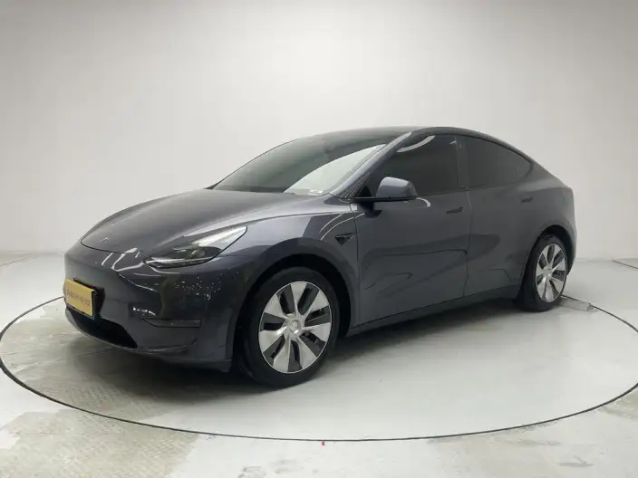 Model Y 2021 Model Long Battery Life Pro All-wheel drive version – фото 1