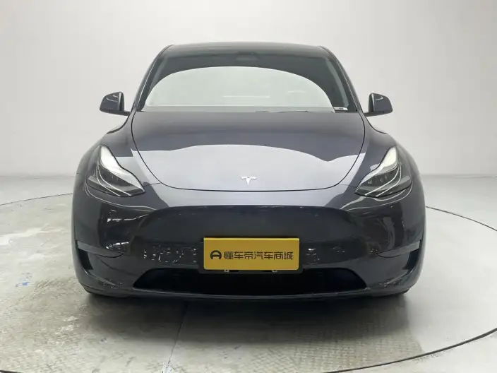 Model Y 2021 Model Long Battery Life Pro All-wheel drive version – фото 2