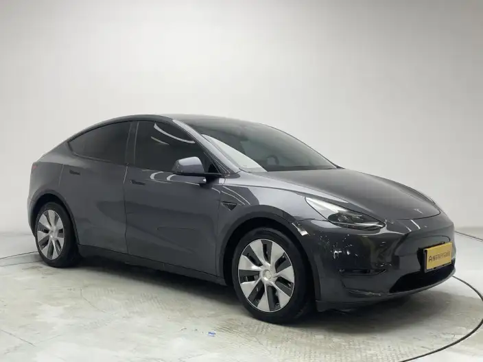 Model Y 2021 Model Long Battery Life Pro All-wheel drive version – фото 3