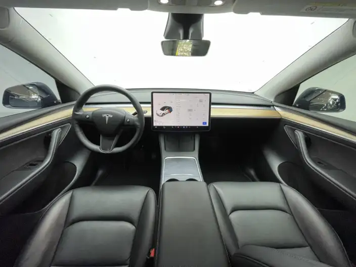 Model Y 2021 Model Long Battery Life Pro All-wheel drive version – фото 14