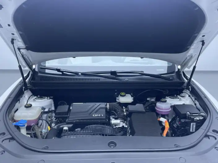 BYD Song Pro DM 2024 Model DM-i Honor Edition 71km Pilot Model – фото 10