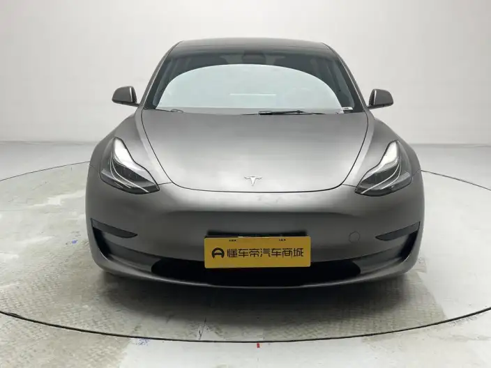 Model 3 2021 Model Standard Battery Life Rear Drive L Class Edition 3D6 – фото 2