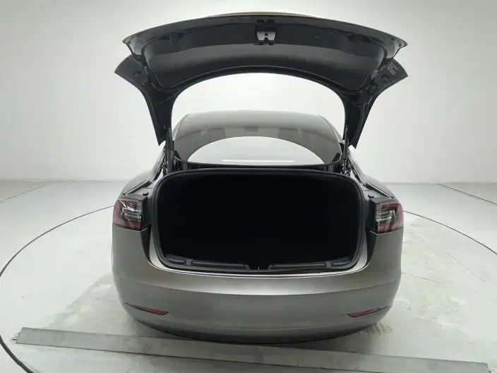 Model 3 2021 Model Standard Battery Life Rear Drive L Class Edition 3D6 – фото 20
