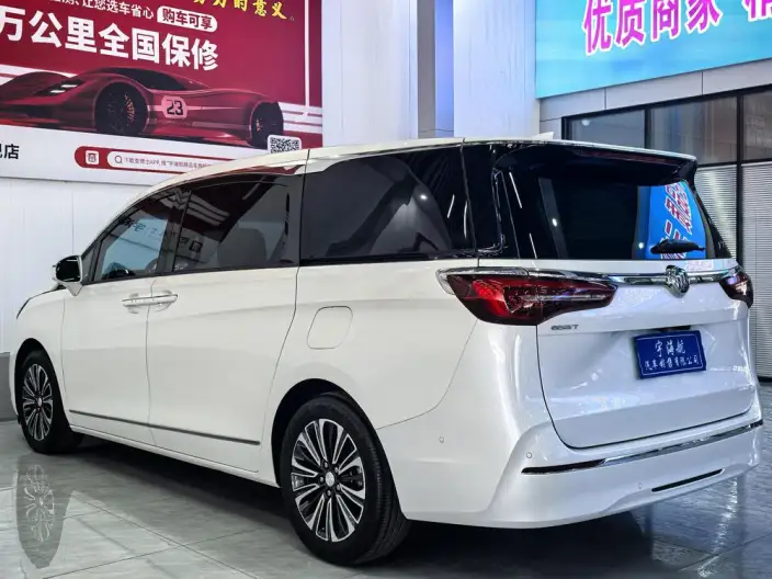 Buick GL8 2020 Model ES Luzun 653T Flagship Model – фото 4
