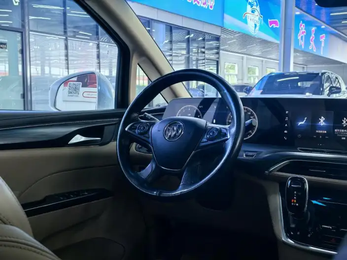 Buick GL8 2020 Model ES Luzun 653T Flagship Model – фото 24