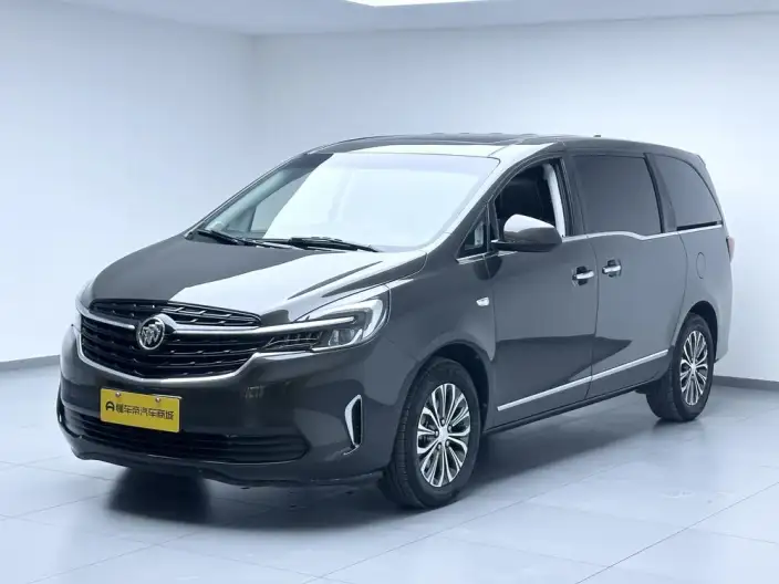Buick GL8 2021 Model Business class 652T Luxury Model – фото 1
