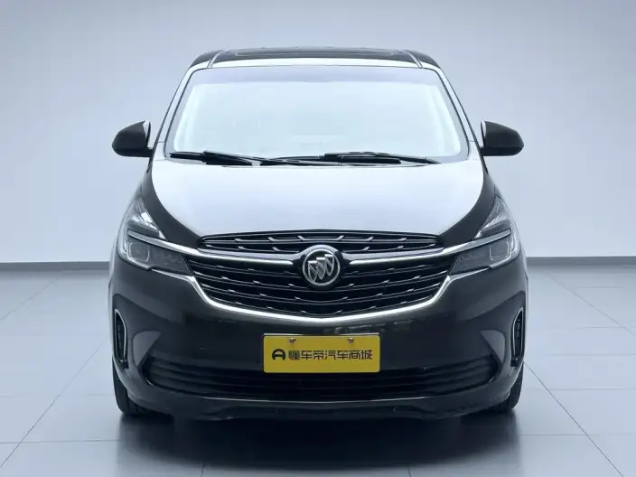 Buick GL8 2021 Model Business class 652T Luxury Model – фото 2
