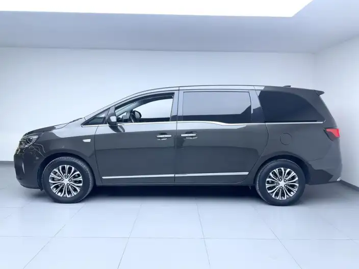 Buick GL8 2021 Model Business class 652T Luxury Model – фото 4