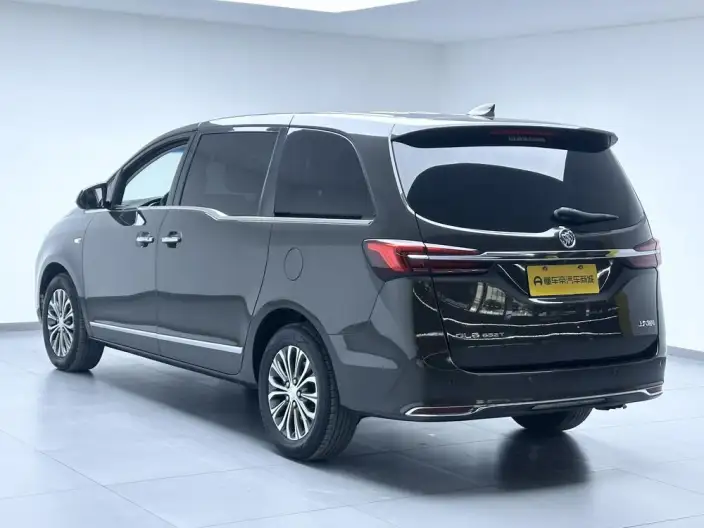 Buick GL8 2021 Model Business class 652T Luxury Model – фото 5
