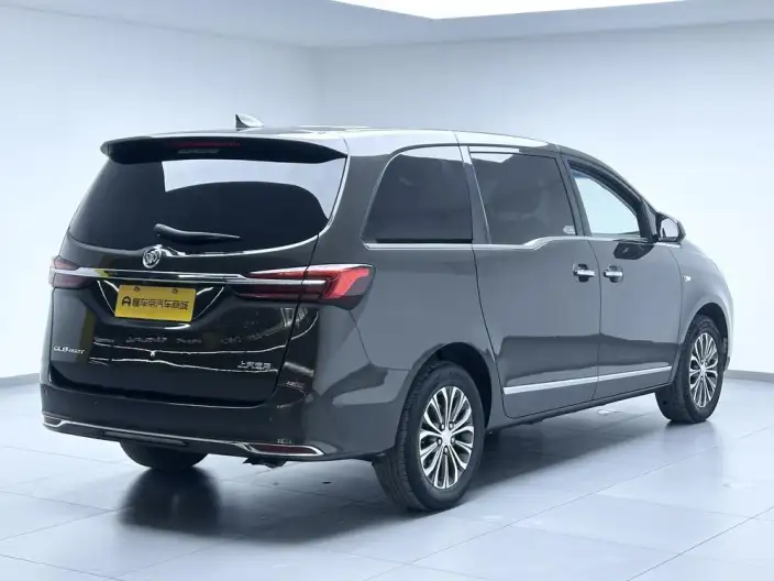 Buick GL8 2021 Model Business class 652T Luxury Model – фото 7