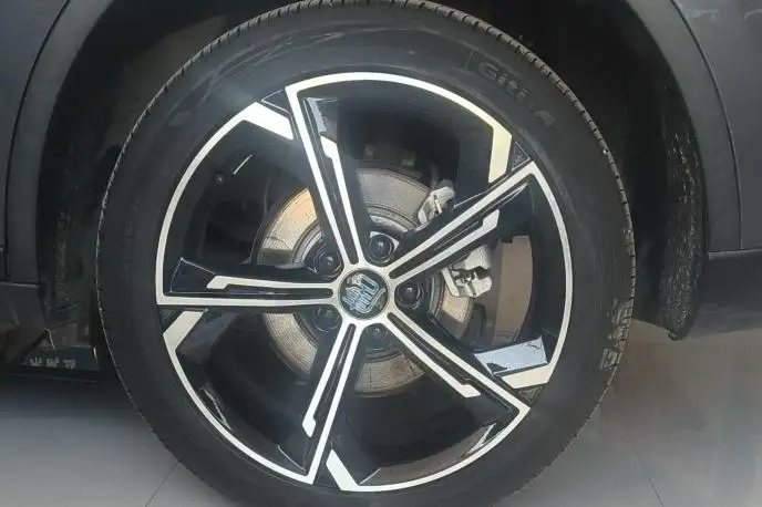 BYD Tang DM 2021 Model DM-i 1.5T 112KM Noble Model – фото 7