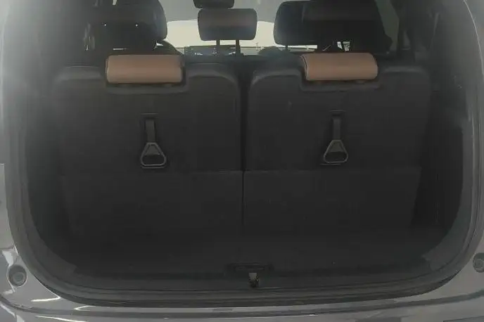 BYD Tang DM 2021 Model DM-i 1.5T 112KM Noble Model – фото 15