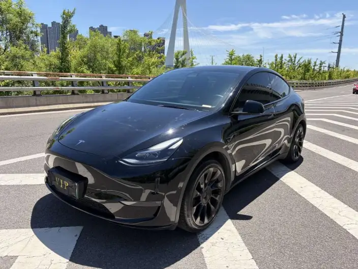 Model Y 2021 Model Standard Battery Life Rear-wheel drive version – фото 1