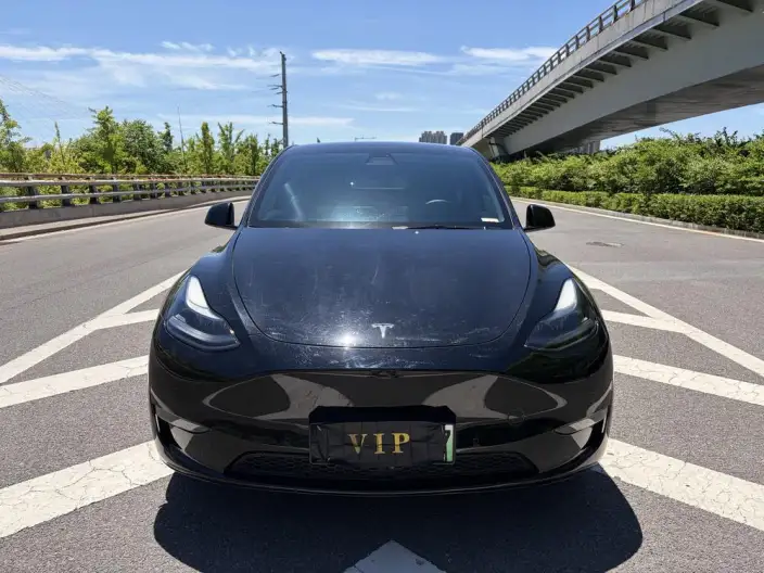 Model Y 2021 Model Standard Battery Life Rear-wheel drive version – фото 2
