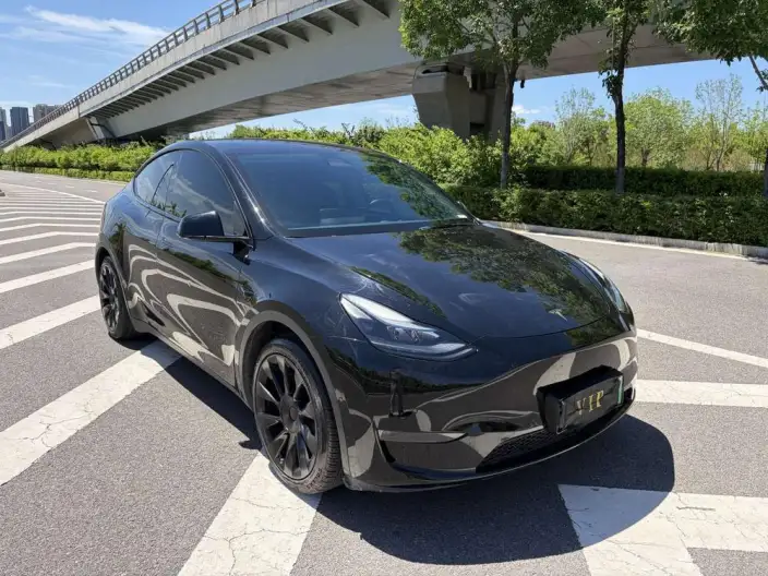 Model Y 2021 Model Standard Battery Life Rear-wheel drive version – фото 3