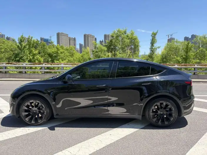 Model Y 2021 Model Standard Battery Life Rear-wheel drive version – фото 4