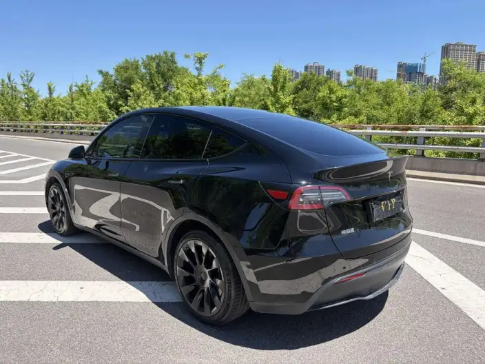 Model Y 2021 Model Standard Battery Life Rear-wheel drive version – фото 5