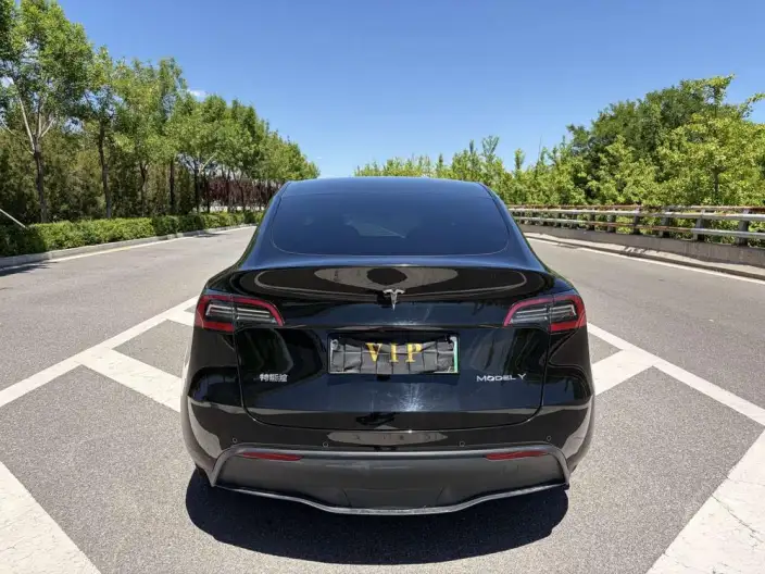 Model Y 2021 Model Standard Battery Life Rear-wheel drive version – фото 6