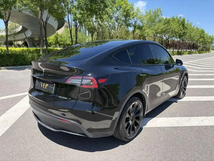 Model Y 2021 Model Standard Battery Life Rear-wheel drive version – фото 7