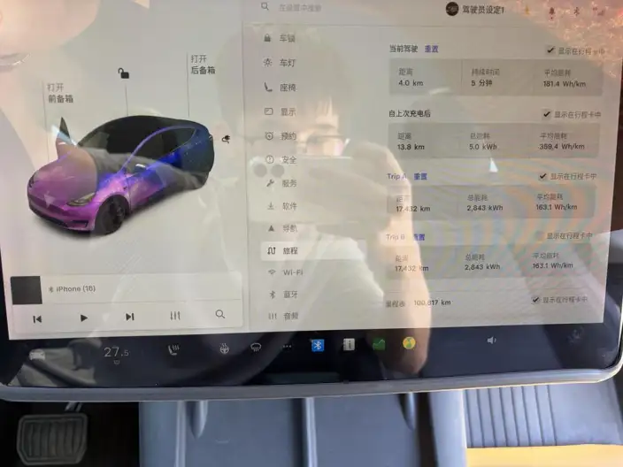 Model Y 2021 Model Standard Battery Life Rear-wheel drive version – фото 8