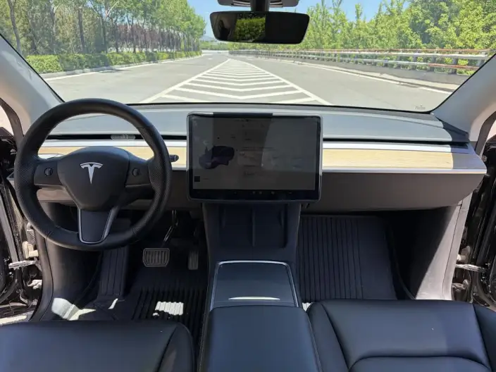 Model Y 2021 Model Standard Battery Life Rear-wheel drive version – фото 9