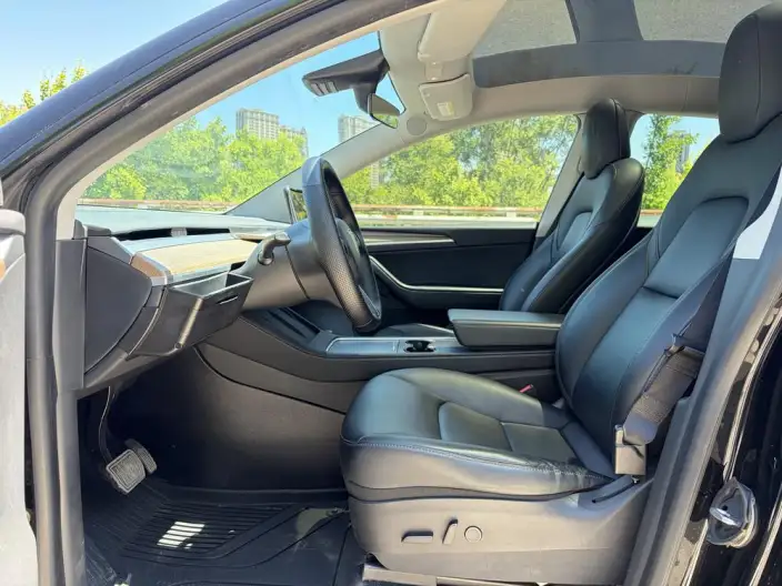 Model Y 2021 Model Standard Battery Life Rear-wheel drive version – фото 10