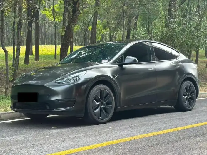 Model Y 2024 Model Rear-wheel drive version – фото 1