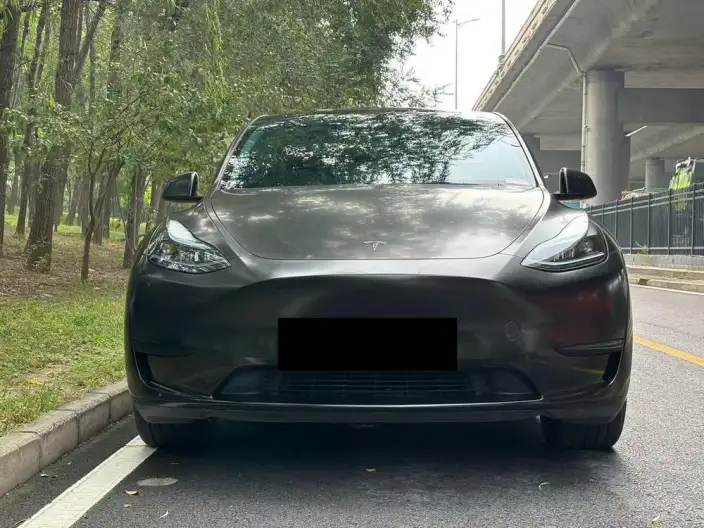 Model Y 2024 Model Rear-wheel drive version – фото 2