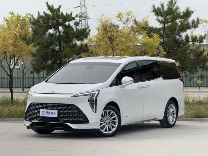 Century 2023 Model 2.0T VII seat Yunshi Edition – фото 1