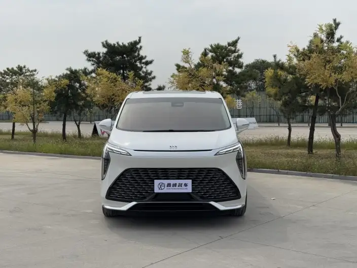 Century 2023 Model 2.0T VII seat Yunshi Edition – фото 2