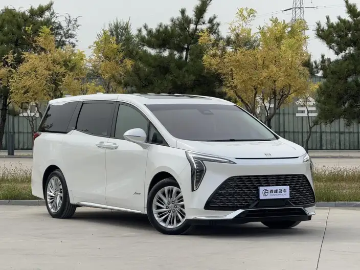 Century 2023 Model 2.0T VII seat Yunshi Edition – фото 3