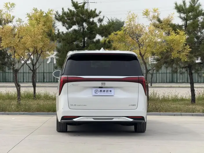 Century 2023 Model 2.0T VII seat Yunshi Edition – фото 5