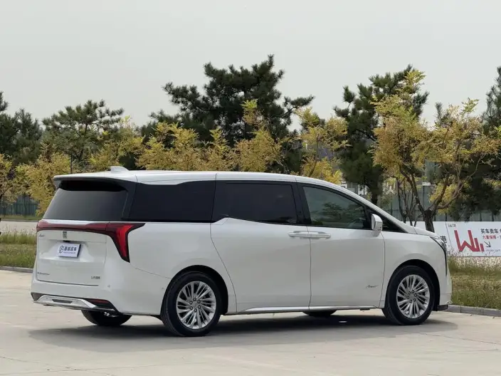 Century 2023 Model 2.0T VII seat Yunshi Edition – фото 6