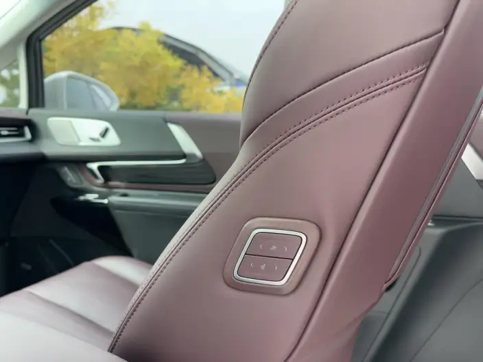 Century 2023 Model 2.0T VII seat Yunshi Edition – фото 11