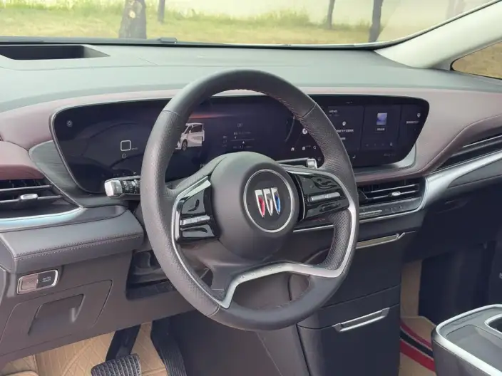 Century 2023 Model 2.0T VII seat Yunshi Edition – фото 14
