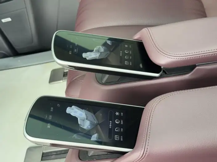 Century 2023 Model 2.0T VII seat Yunshi Edition – фото 15