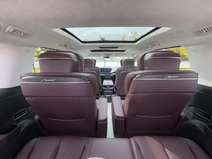 Century 2023 Model 2.0T VII seat Yunshi Edition – фото 16