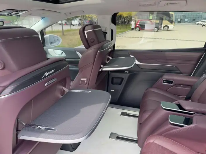 Century 2023 Model 2.0T VII seat Yunshi Edition – фото 17