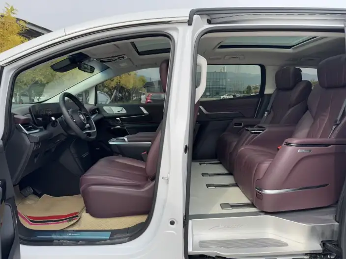 Century 2023 Model 2.0T VII seat Yunshi Edition – фото 19