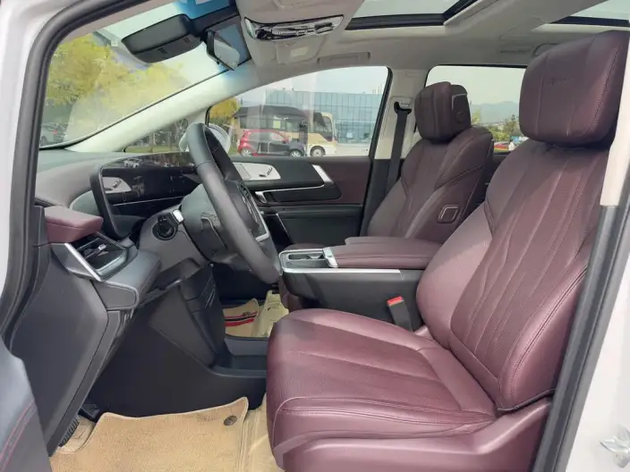Century 2023 Model 2.0T VII seat Yunshi Edition – фото 20