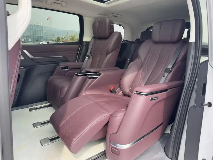 Century 2023 Model 2.0T VII seat Yunshi Edition – фото 22
